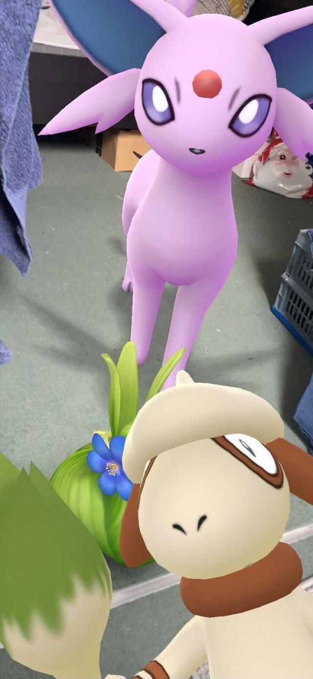 Pokemon GO Smeargle